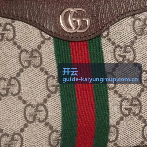 开云集团可持续发展专题